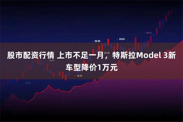 股市配资行情 上市不足一月，特斯拉Model 3新车型降价1万元