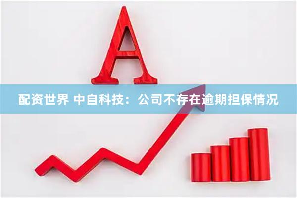 配资世界 中自科技：公司不存在逾期担保情况