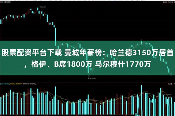 股票配资平台下载 曼城年薪榜：哈兰德3150万居首，格伊、B席1800万 马尔穆什1770万